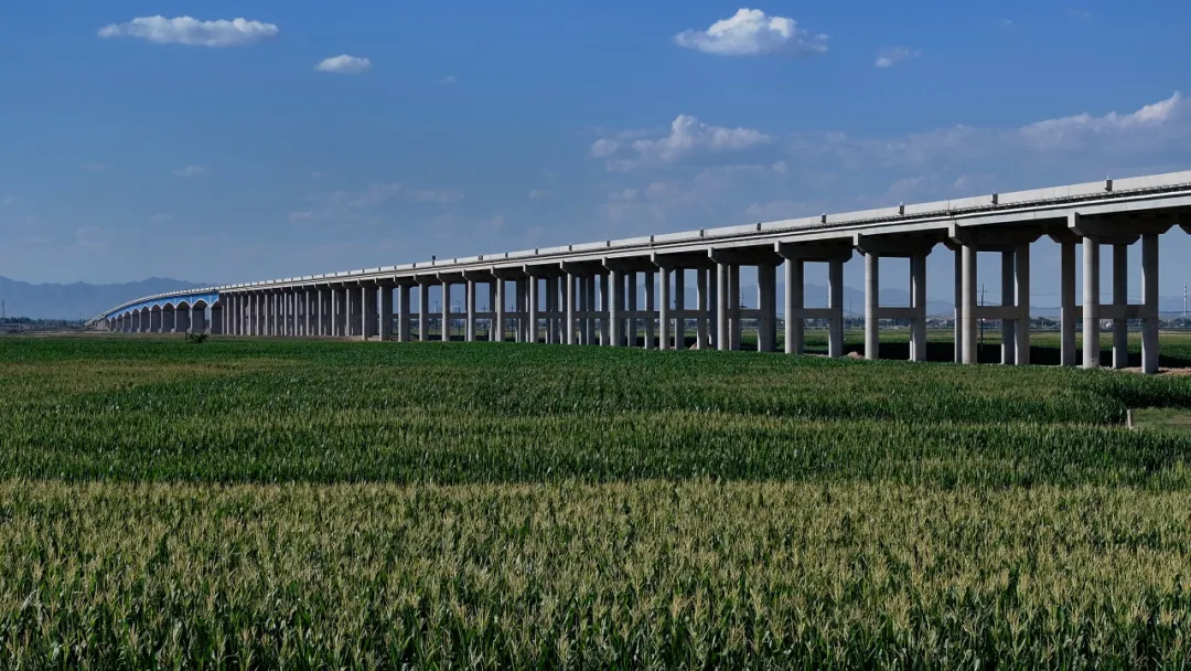 女人与公狍交酡女免费