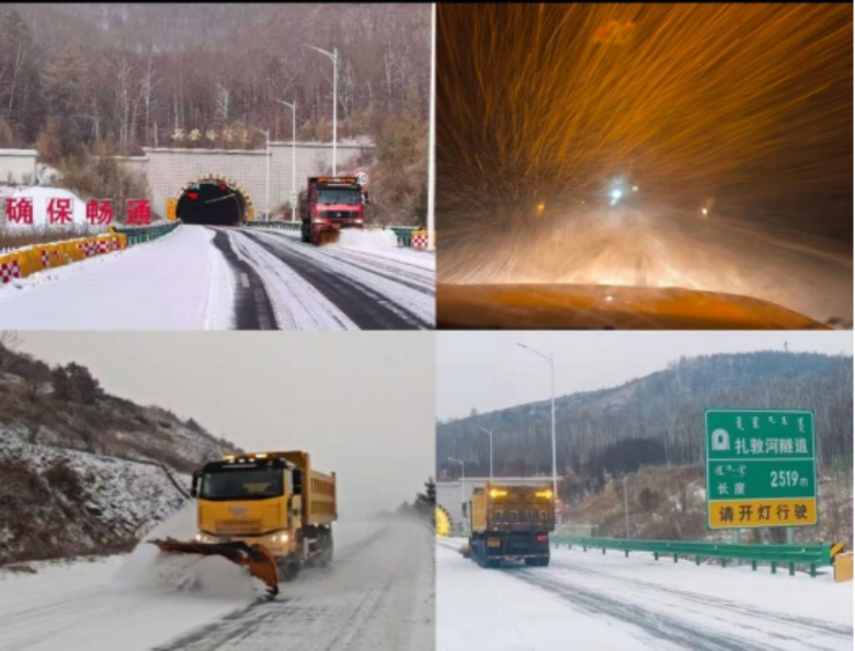 女人与公狍交酡女免费
