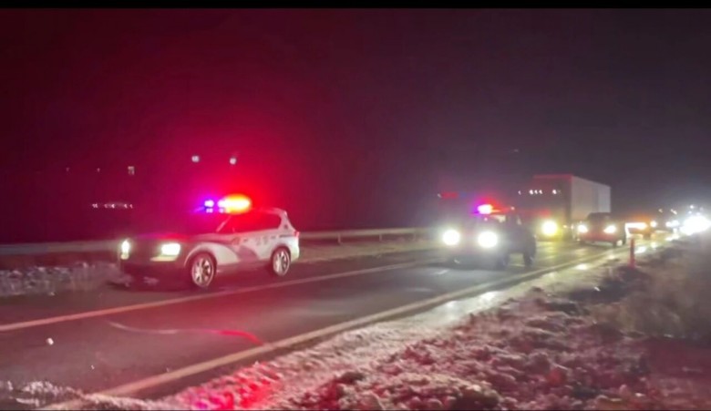 女人与公狍交酡女免费