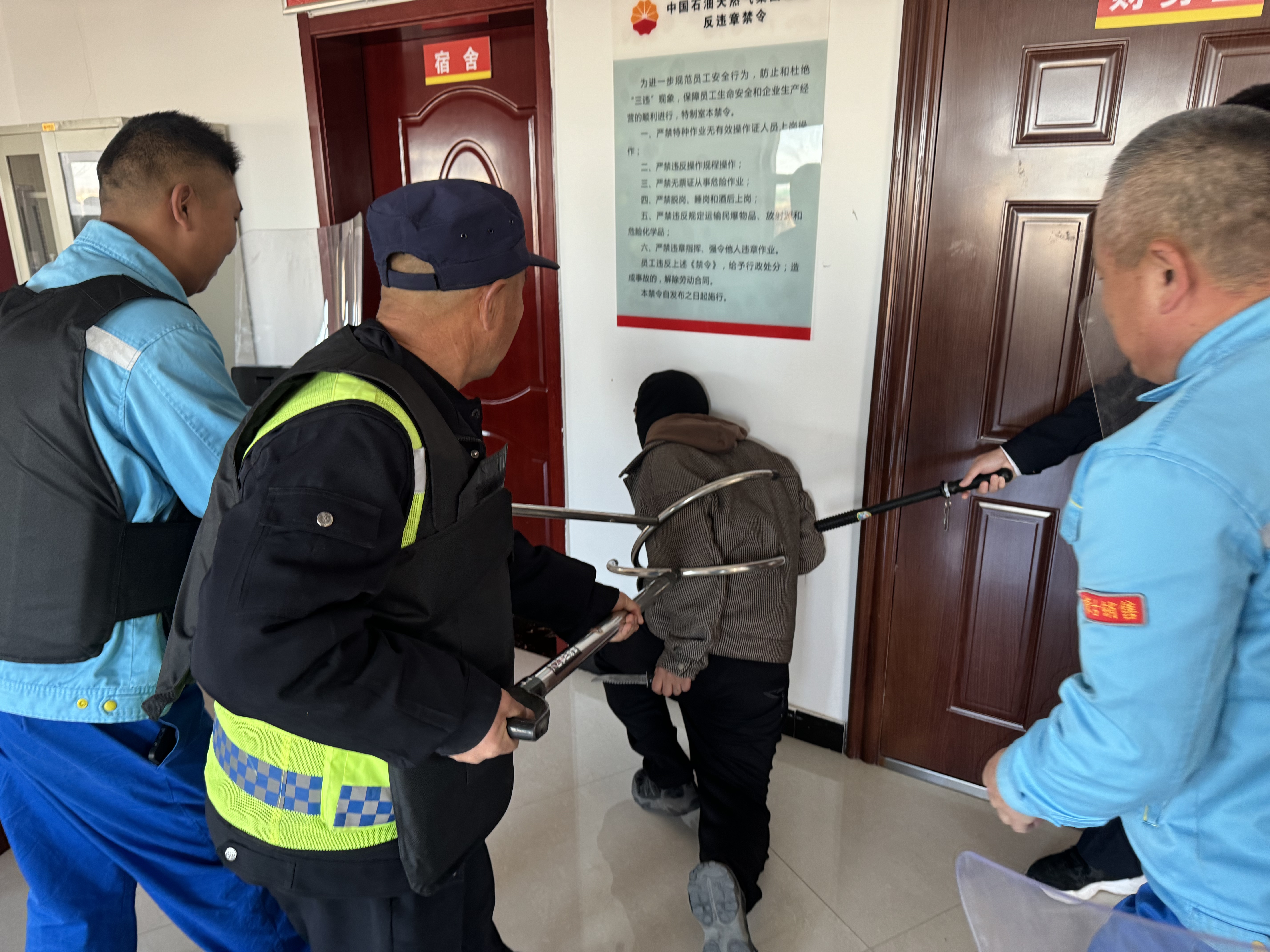 女人与公狍交酡女免费