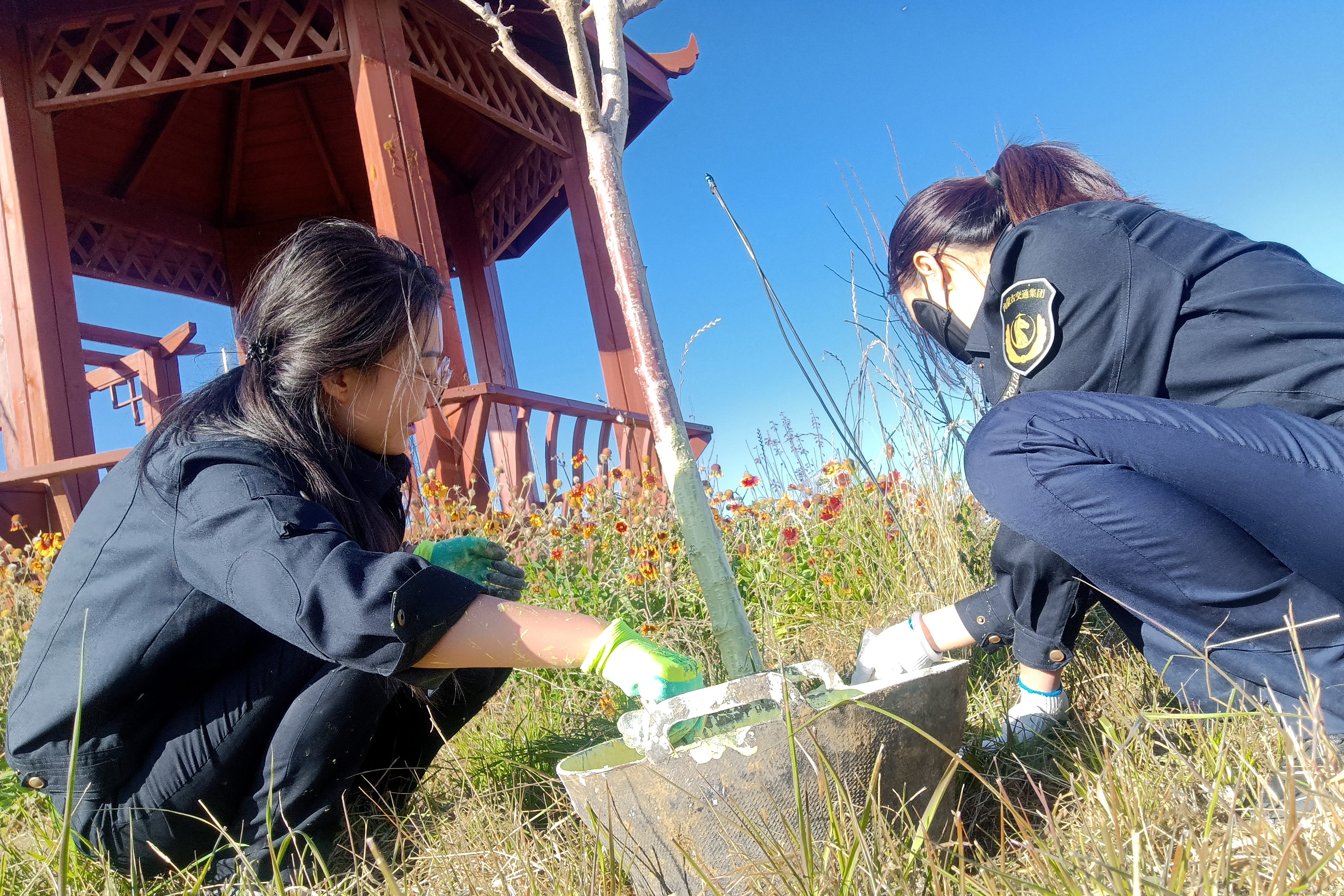 女人与公狍交酡女免费