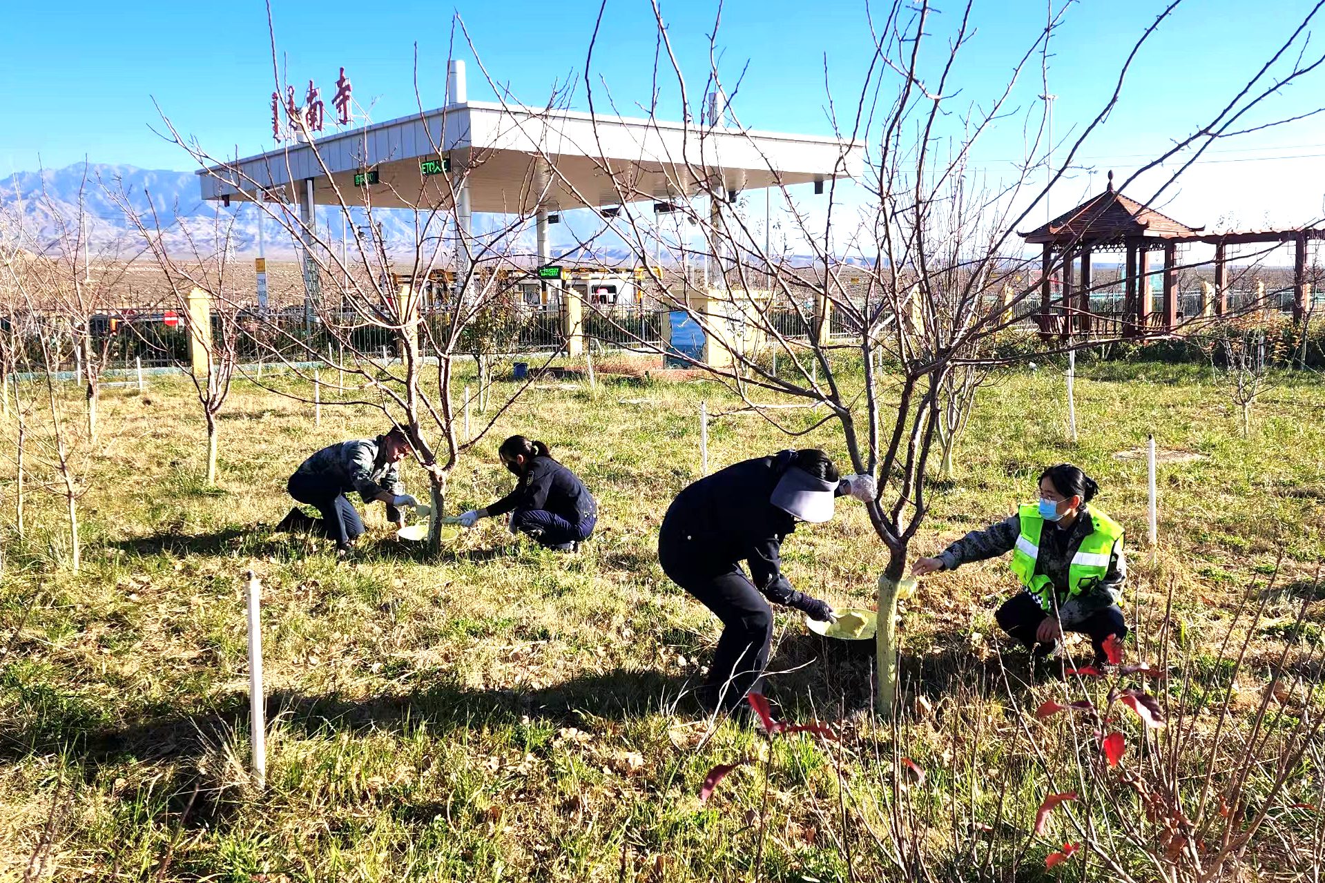 女人与公狍交酡女免费