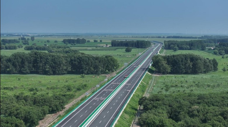 女人与公狍交酡女免费