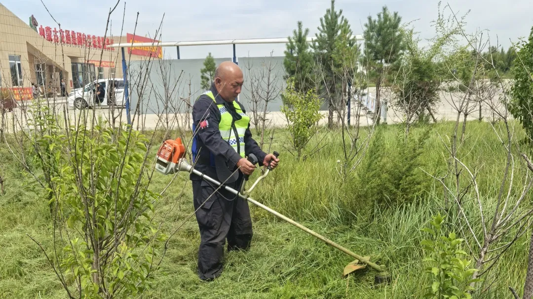 女人与公狍交酡女免费