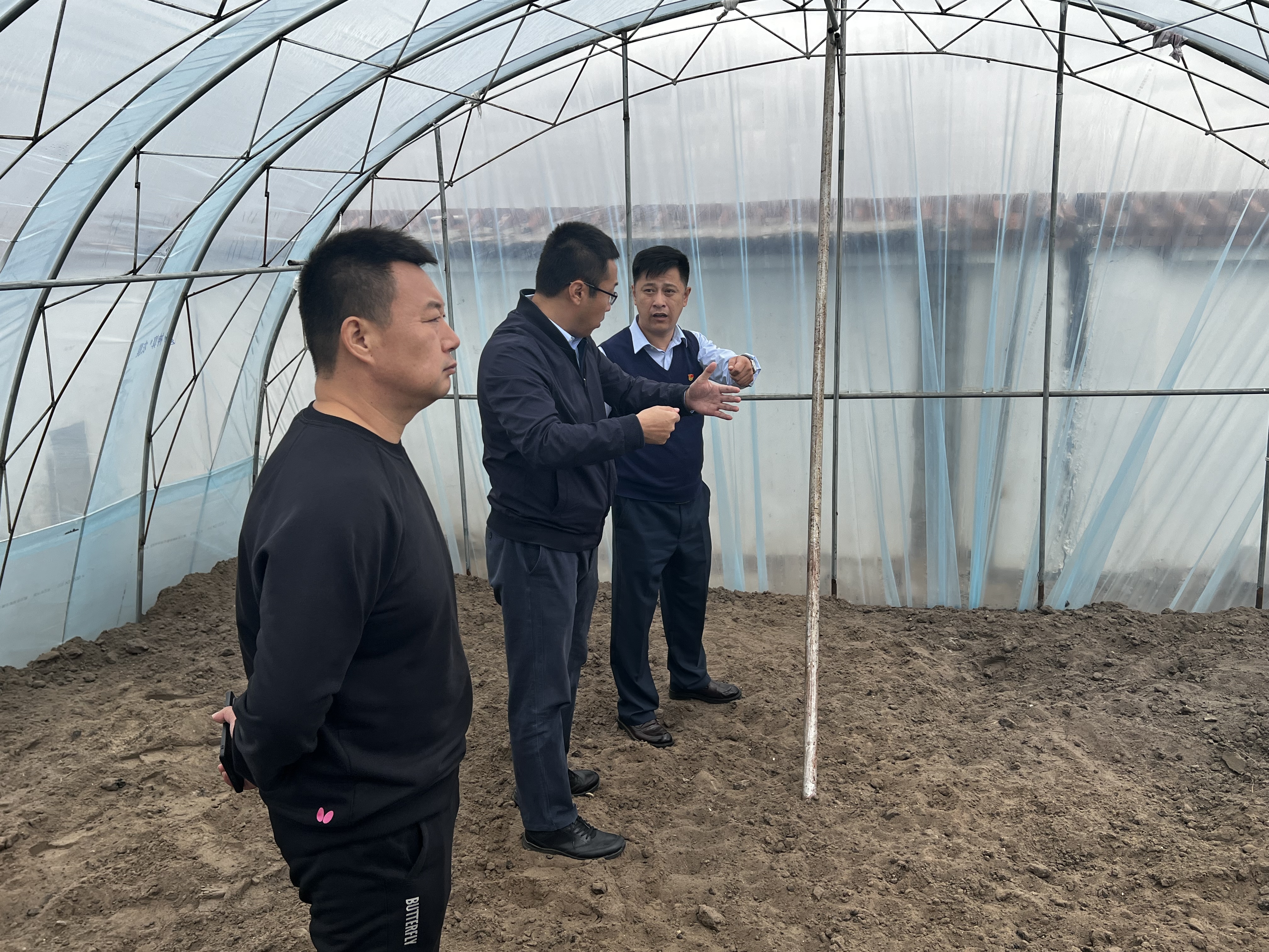 女人与公狍交酡女免费