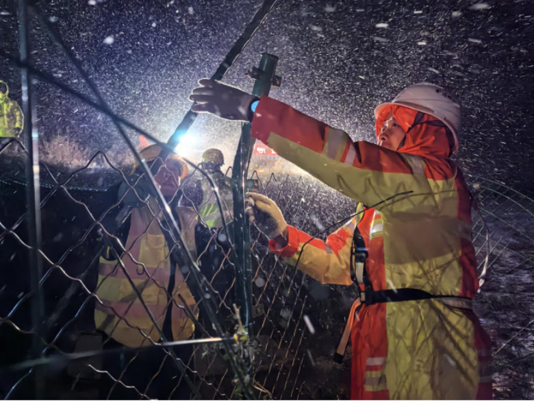 女人与公狍交酡女免费