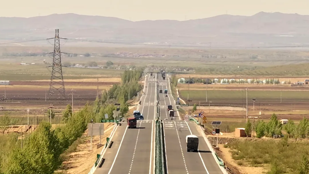 女人与公狍交酡女免费