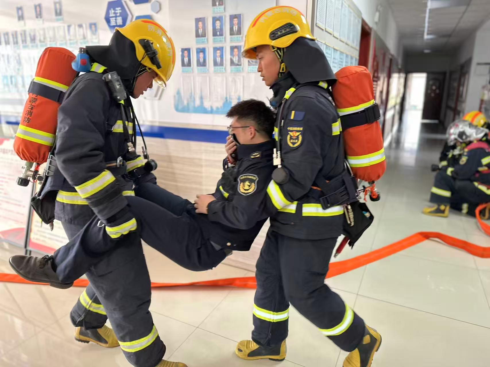 女人与公狍交酡女免费