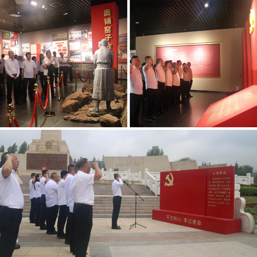 女人与公狍交酡女免费