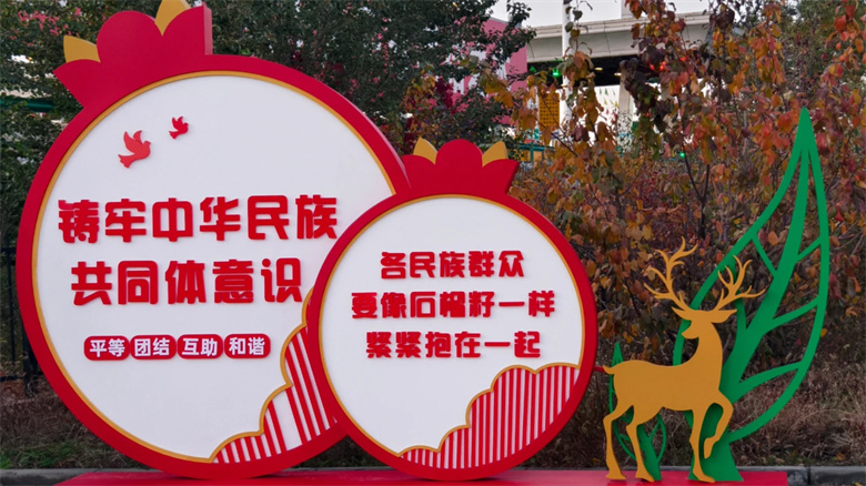 女人与公狍交酡女免费