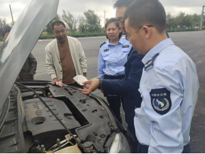 女人与公狍交酡女免费