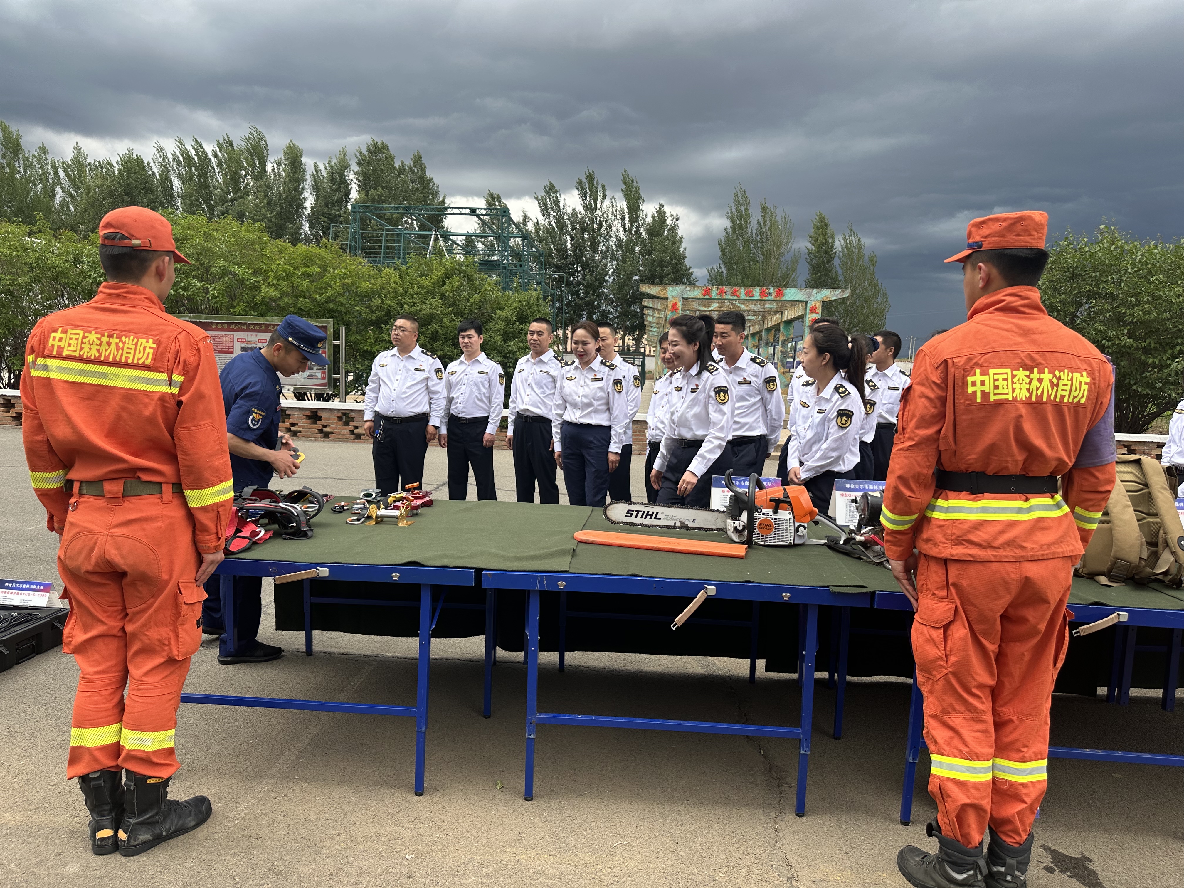 女人与公狍交酡女免费