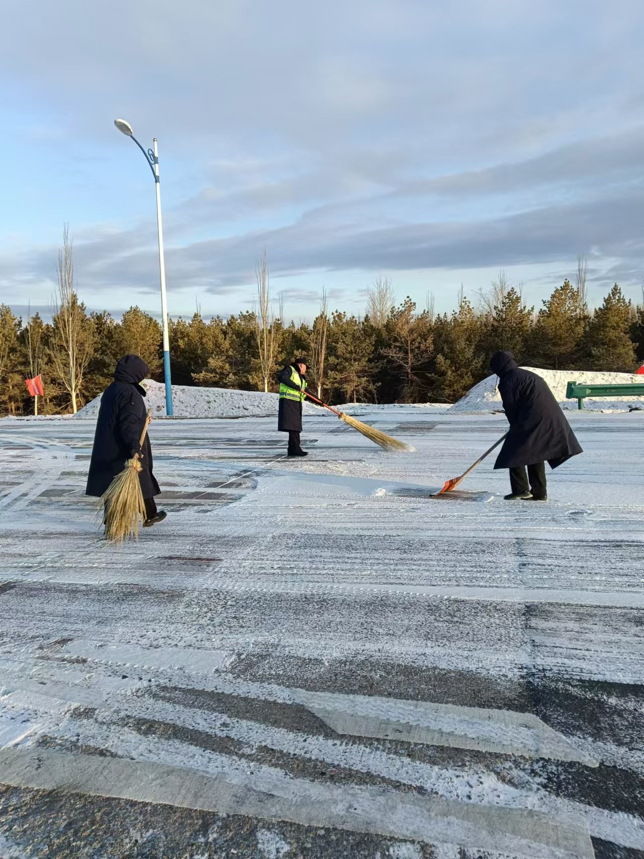 女人与公狍交酡女免费