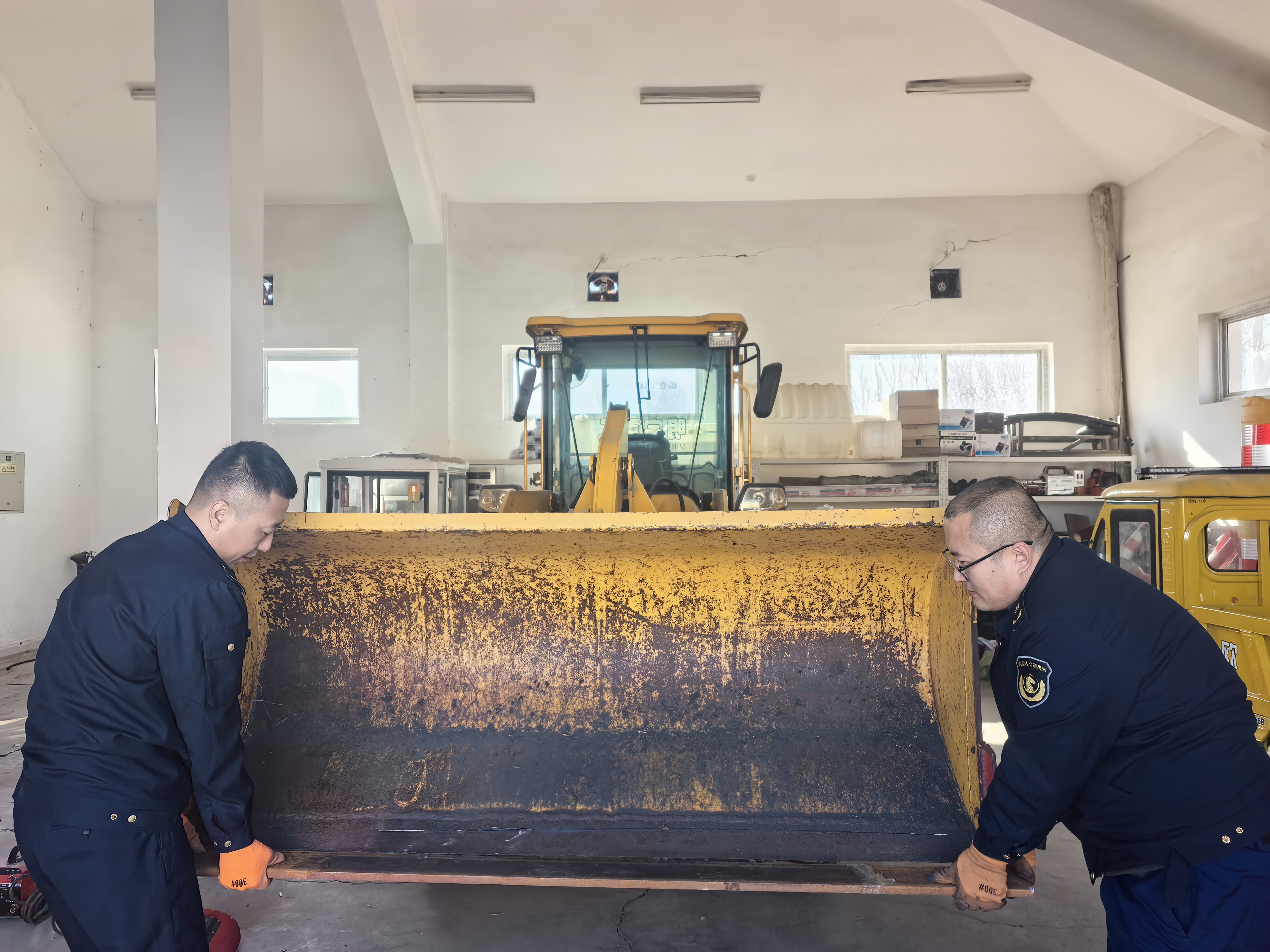 女人与公狍交酡女免费