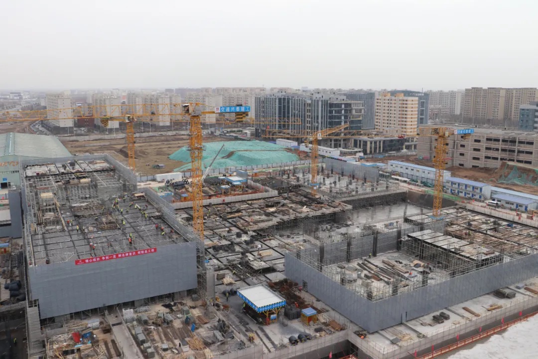 女人与公狍交酡女免费