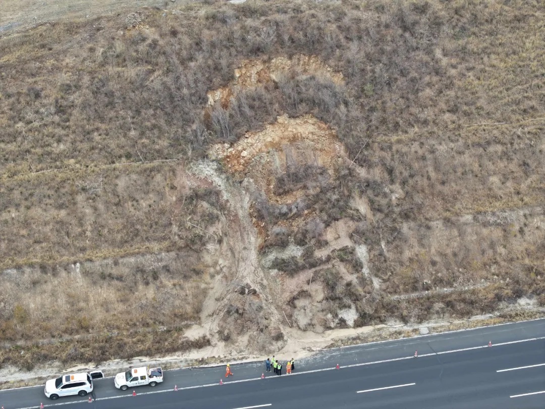 女人与公狍交酡女免费