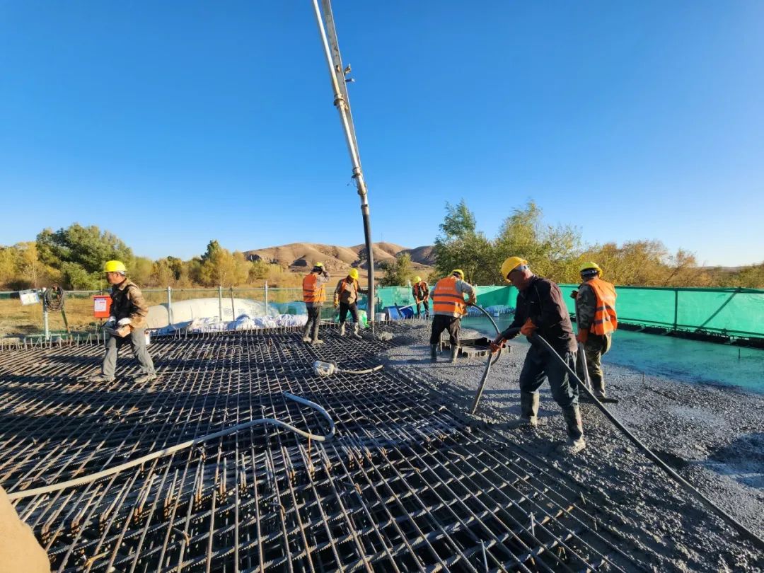 女人与公狍交酡女免费