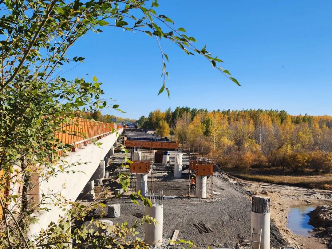 女人与公狍交酡女免费