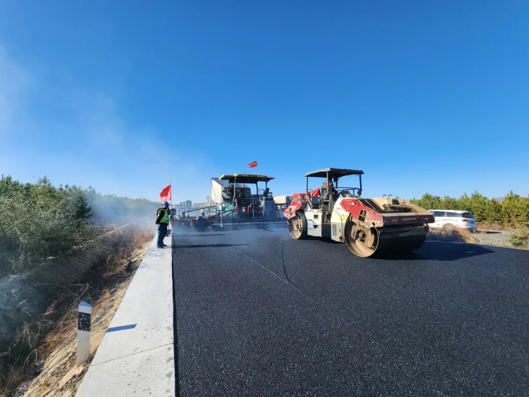 女人与公狍交酡女免费