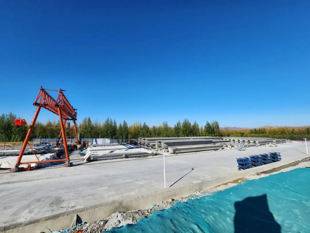 女人与公狍交酡女免费