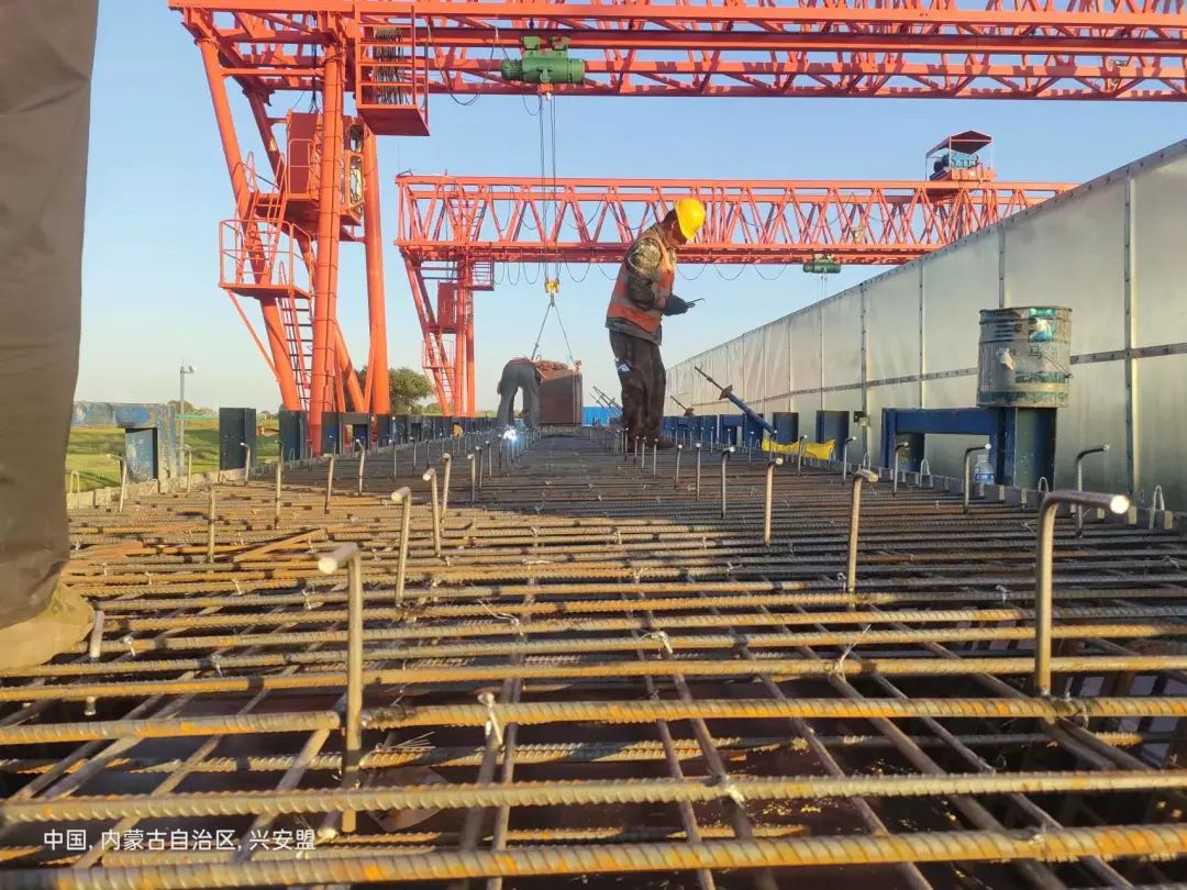 女人与公狍交酡女免费