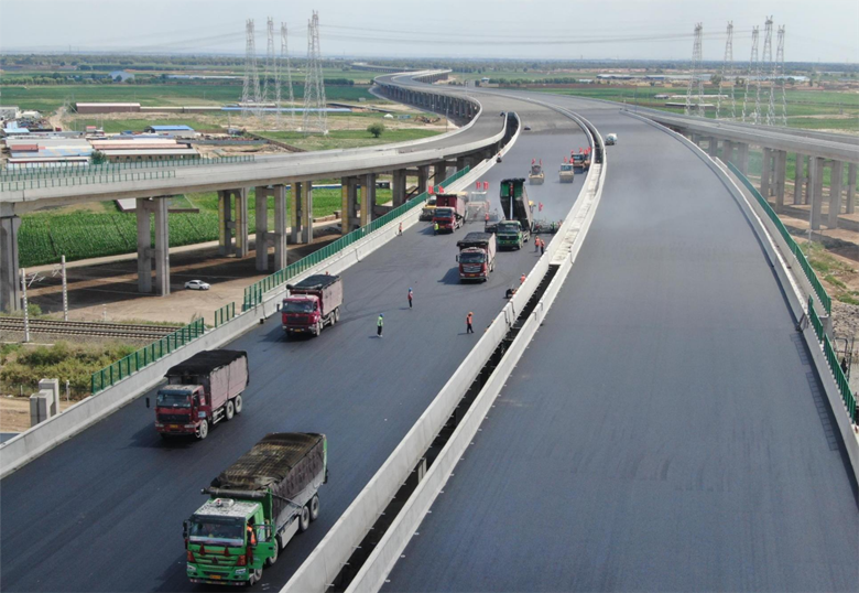 女人与公狍交酡女免费