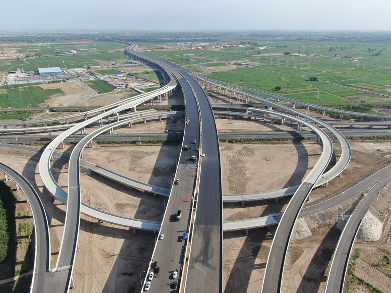 女人与公狍交酡女免费