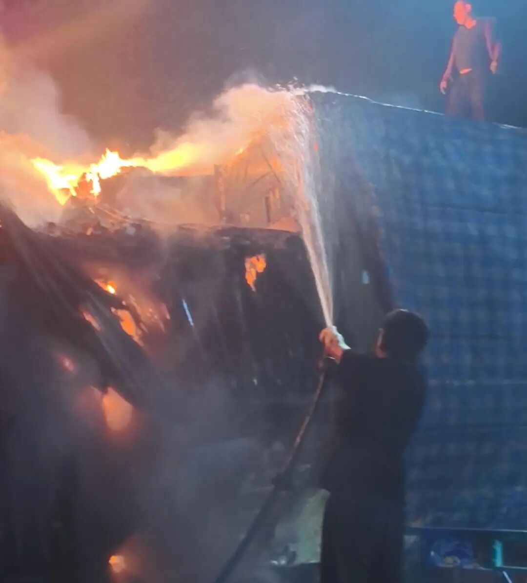 女人与公狍交酡女免费