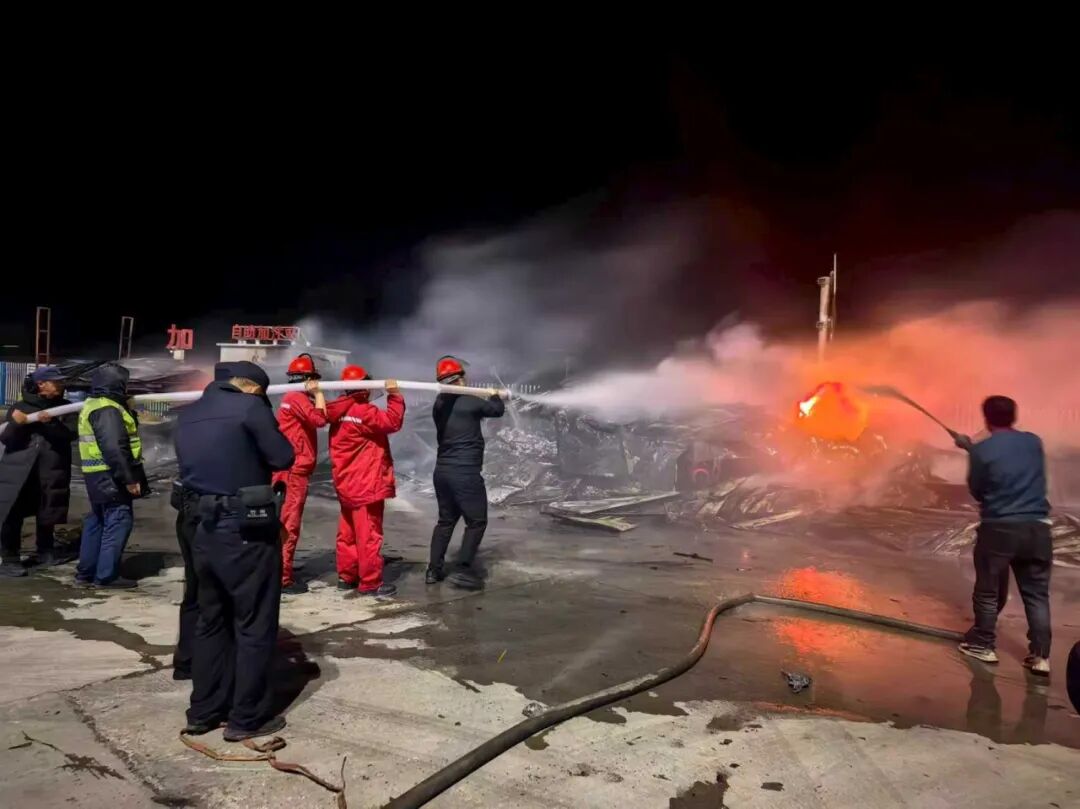 女人与公狍交酡女免费