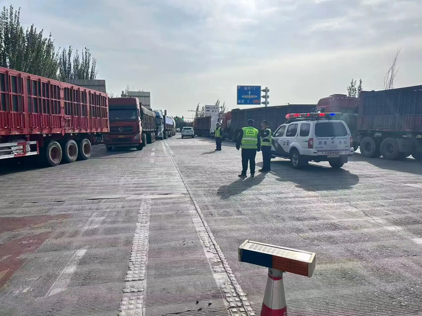 女人与公狍交酡女免费