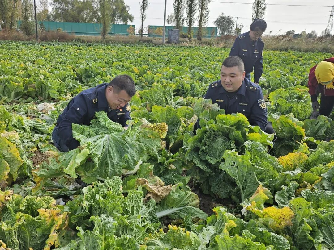 女人与公狍交酡女免费