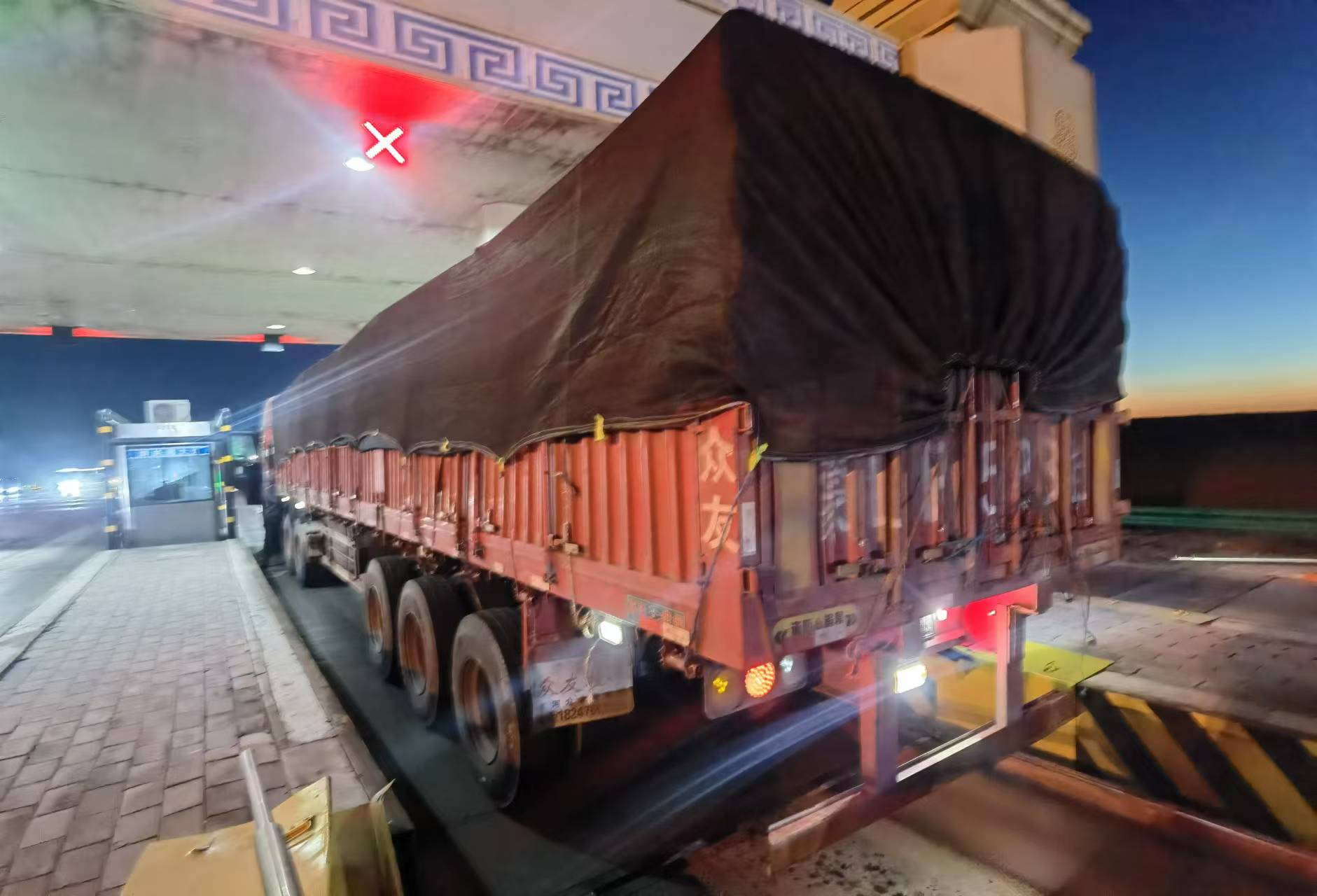 女人与公狍交酡女免费