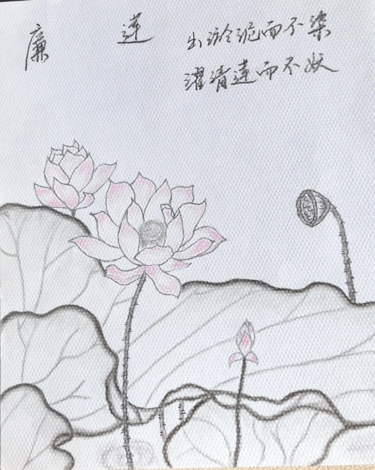 女人与公狍交酡女免费