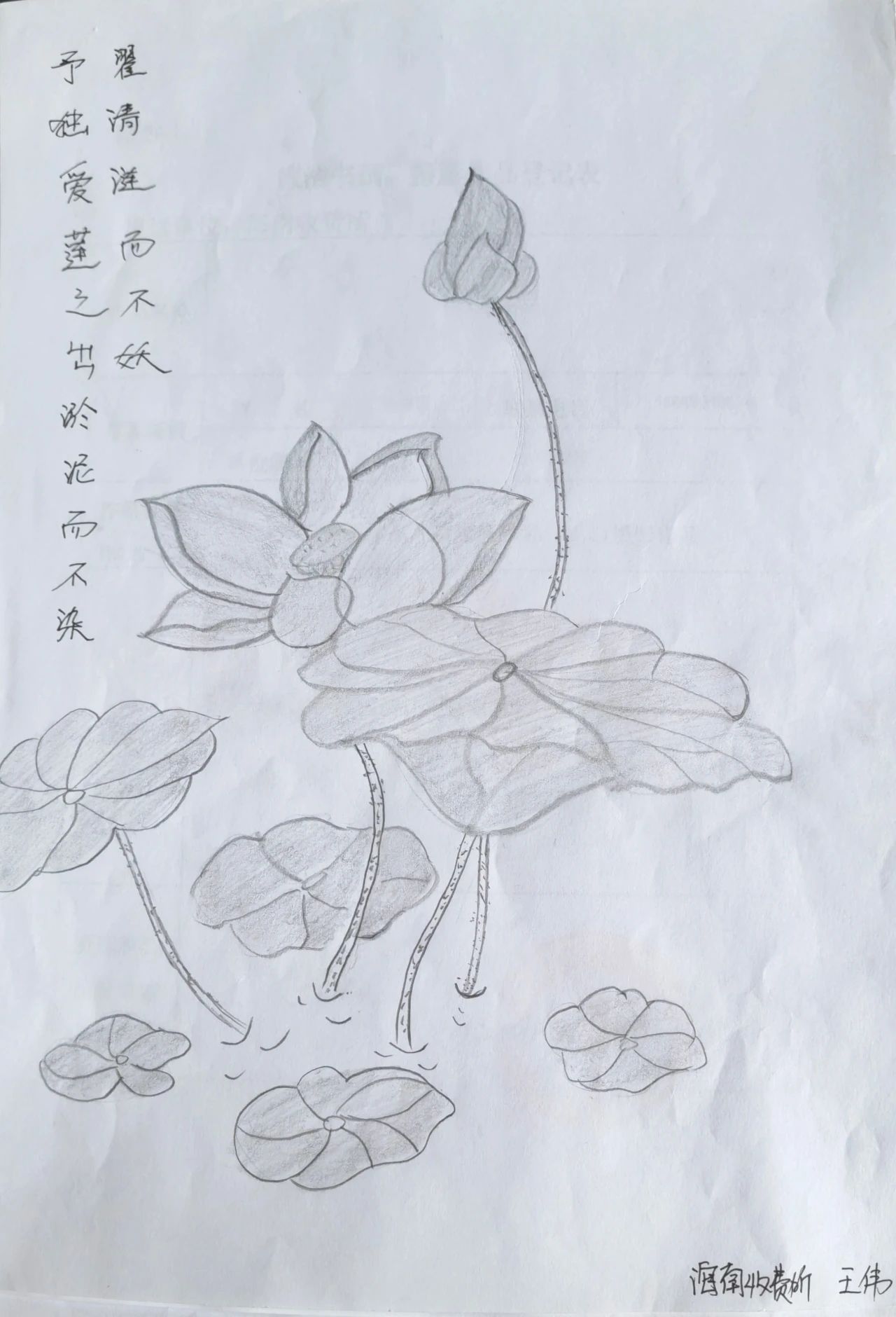 女人与公狍交酡女免费