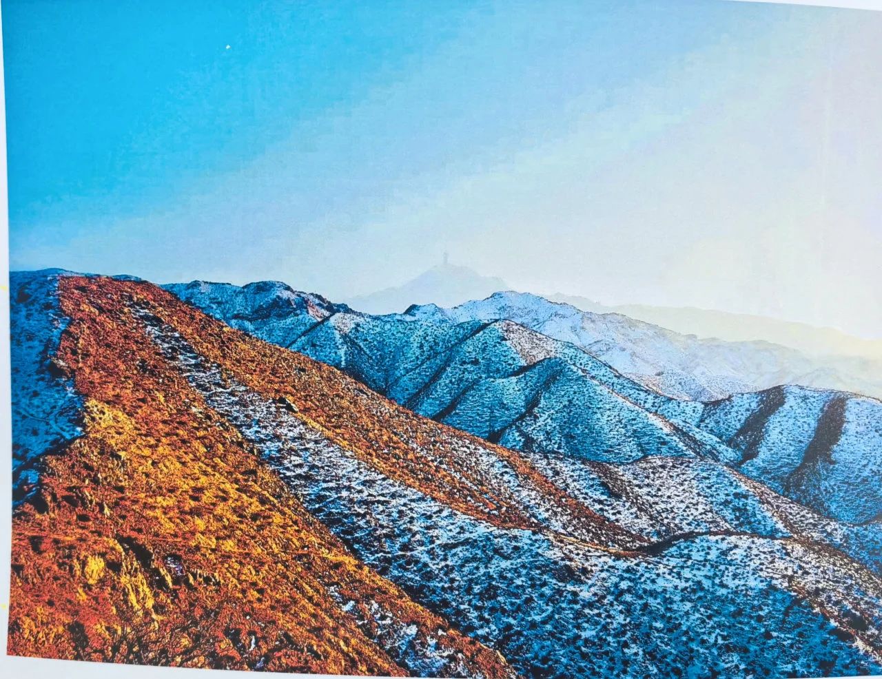 女人与公狍交酡女免费