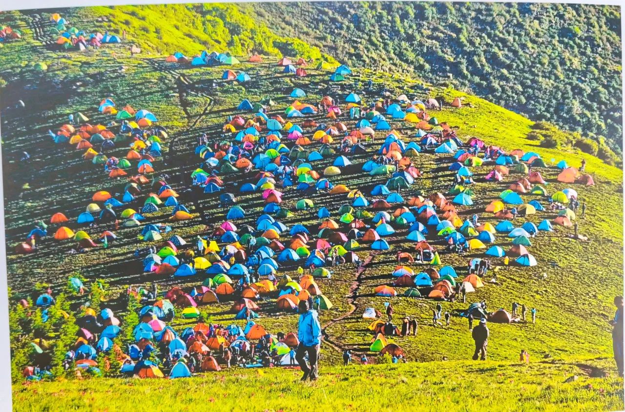 女人与公狍交酡女免费