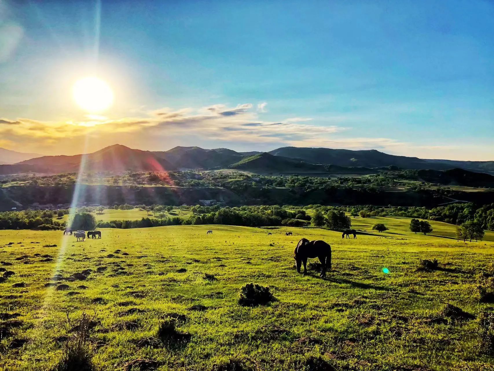 女人与公狍交酡女免费