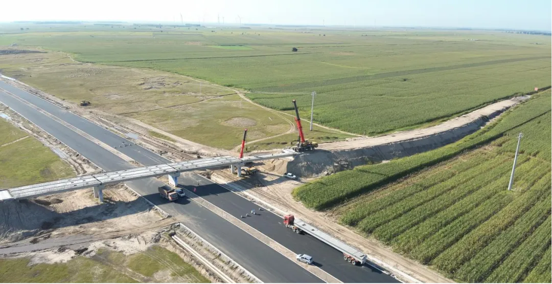 女人与公狍交酡女免费