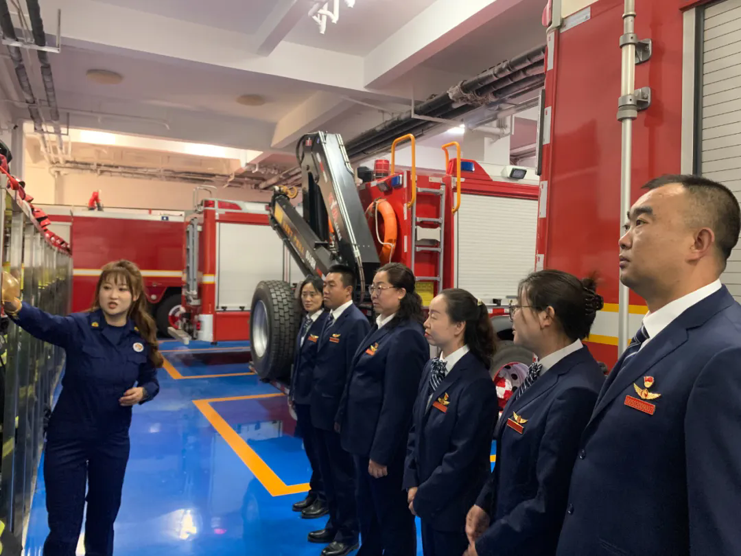 女人与公狍交酡女免费