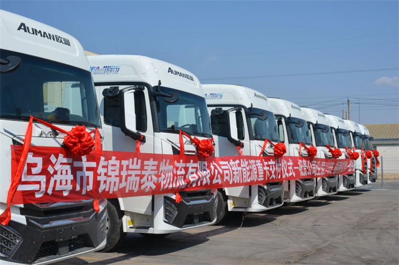 女人与公狍交酡女免费