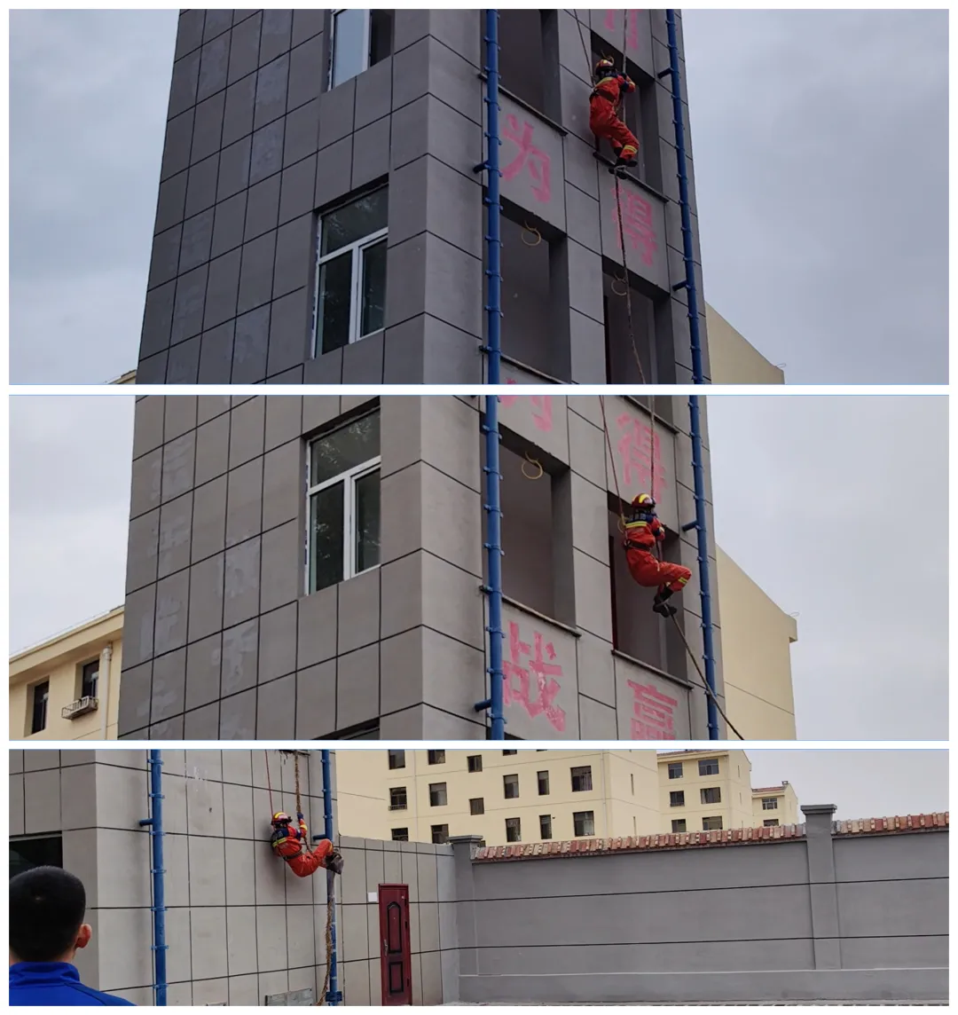 女人与公狍交酡女免费