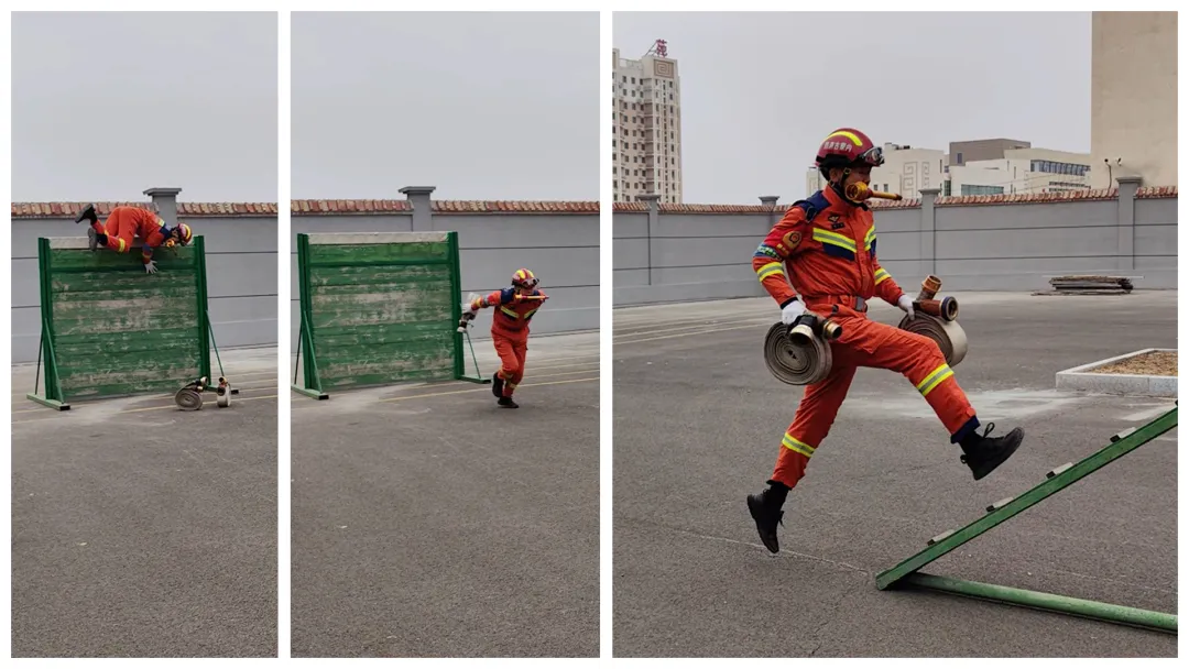 女人与公狍交酡女免费
