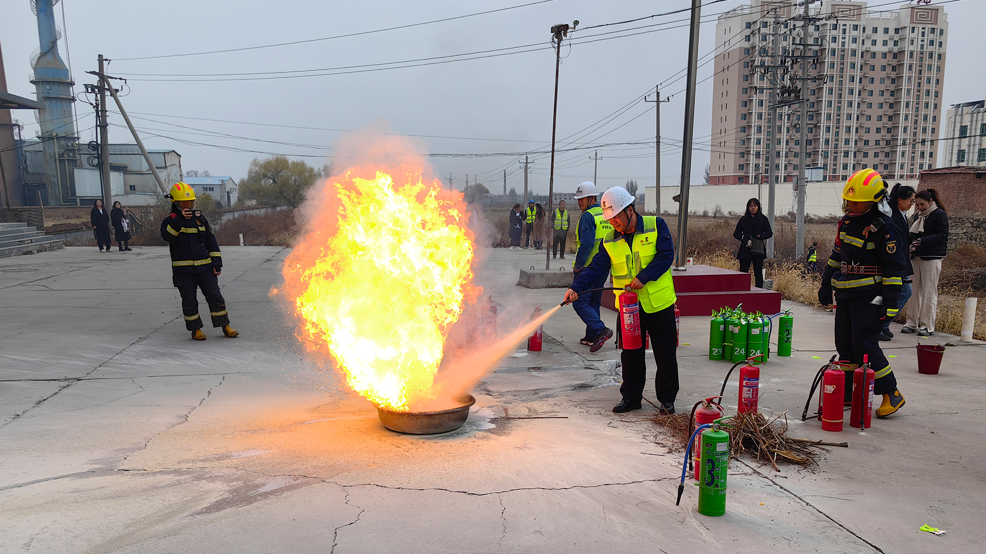 女人与公狍交酡女免费