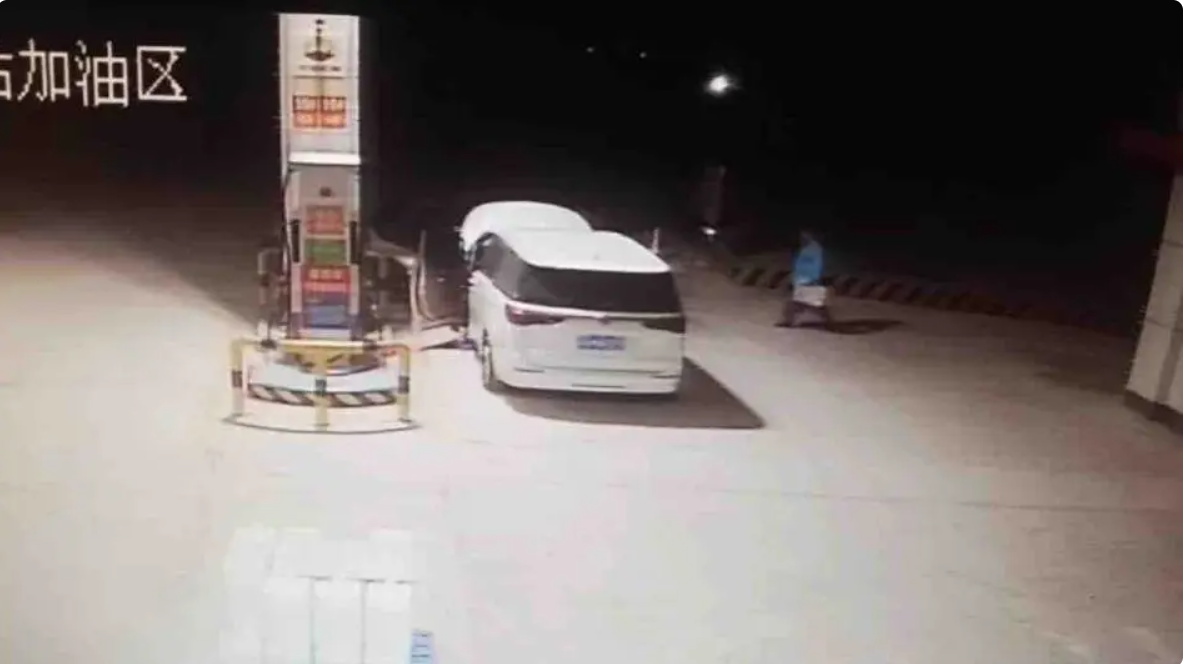 女人与公狍交酡女免费