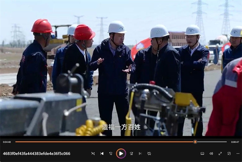 女人与公狍交酡女免费