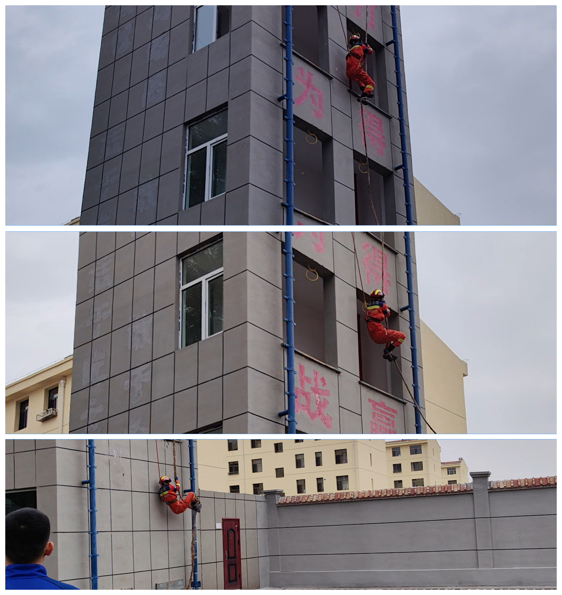 女人与公狍交酡女免费