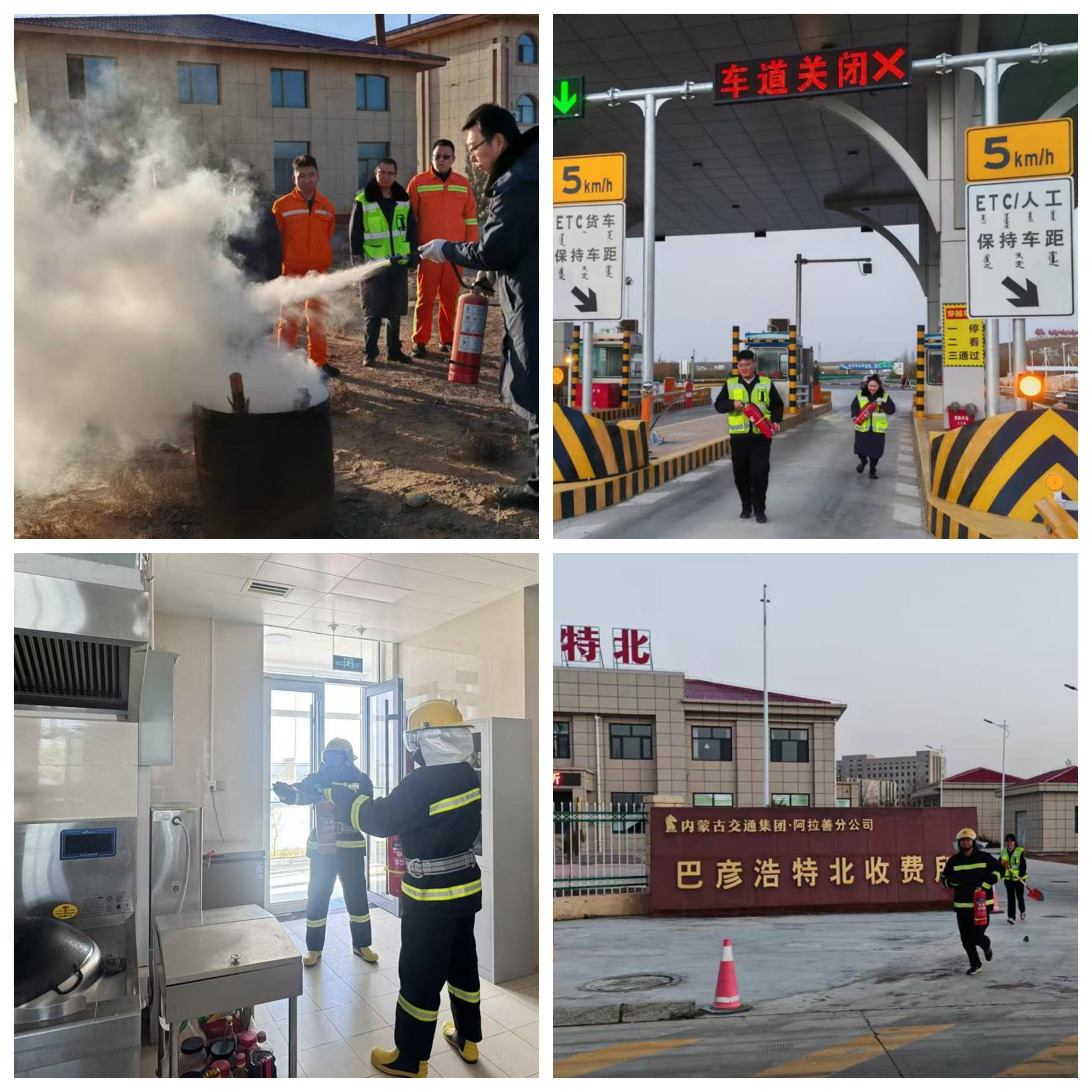 女人与公狍交酡女免费