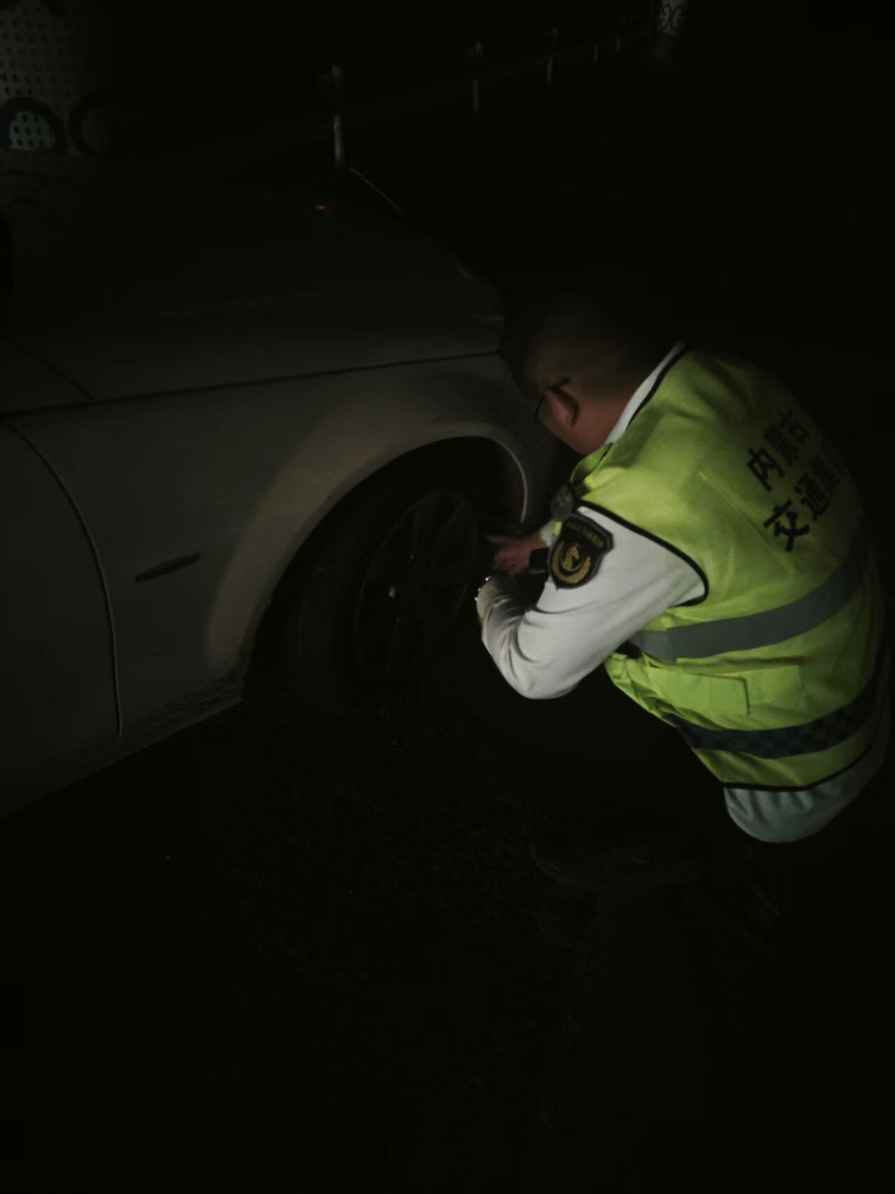 女人与公狍交酡女免费