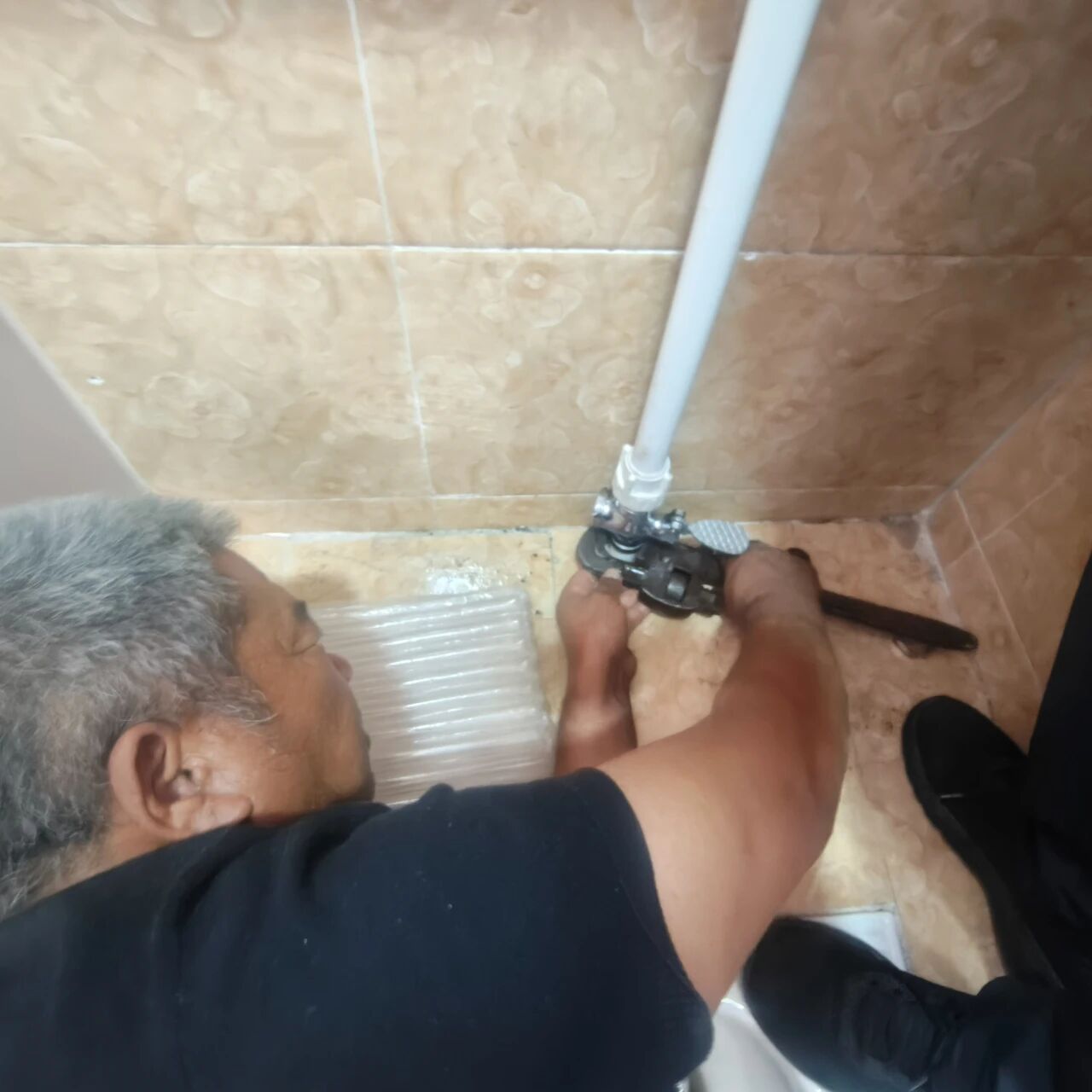 女人与公狍交酡女免费