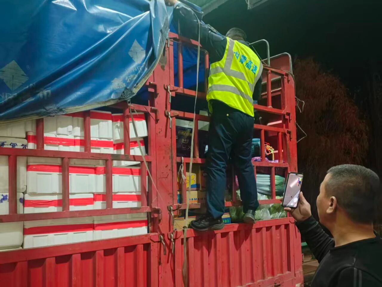 女人与公狍交酡女免费